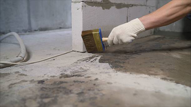 SJ Waterproofing Pros Emergency Waterproofing coverage map for Lamont, MI and surrounding area